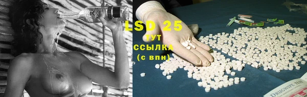 прущие крисы Киренск
