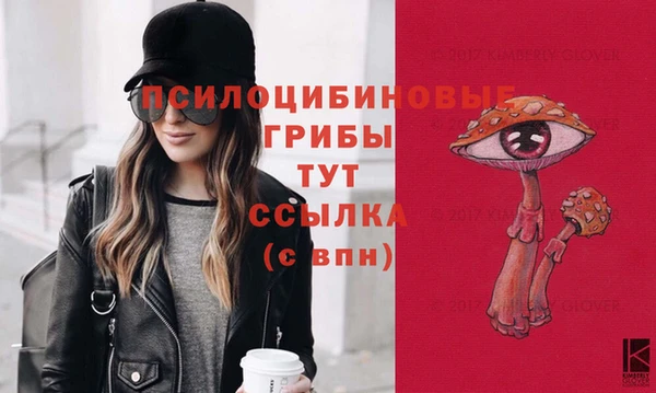прущие крисы Киренск