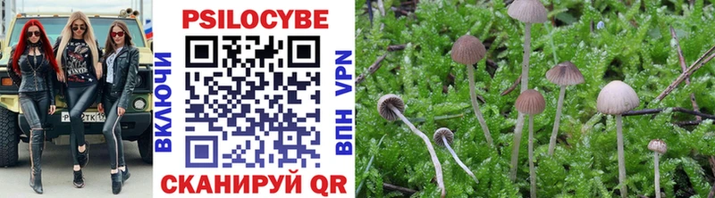 Купить  Большой Камень  Галлюциногенные грибы прущие грибы 